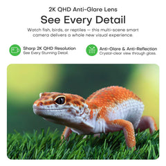 HomiQ reptile camera with starlight vision captures clearer footage in low light.