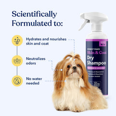 Honest Paws dog dry shampoo spray mist for quick odor removal and shine
