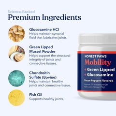 Honest Paws Glucosamine powder dispensing image communicates easy mixing for healthy joints
