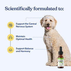 Honest Paws hemp oil dog dropper image signaling easy daily dosing for convenience.