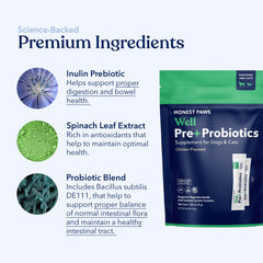 Honest Paws Probiotics in a dog bowl signaling routine gut care