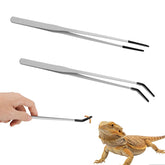 Hongliang 2-pack stainless steel reptile feeding tongs in 10 inch straight design for precise pickup.
