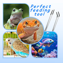 Hongliang stainless steel tongs easy to clean and rust-resistant for daily terrarium use.