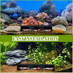 Hoolerry shrimp hides aquarium black decor demonstrates stylish tank enhancement without compromising space.