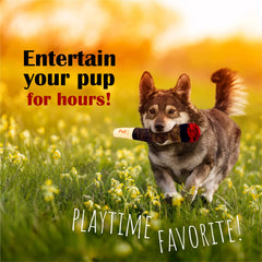 Hoovy Dog Toy Doobie durable bite-resistant design for energetic chewers