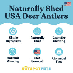 Hotspot Pets antler surface reveals marrow for natural flavor during chewing