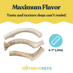 Naturally shed Hotspot Pets antlers hand selected for quality and density
