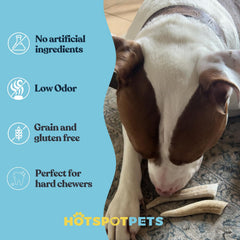 Hotspot Pets preservative-free deer antler chew for a clean, healthy option