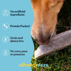 Hotspot Pets Elk Antlers odorless chew image, mess-free option for indoor use.