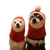 Hotumn dog beanie front view with red pompon offering cozy winter warmth.