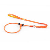 HOWGO dog slip lead orange 3.6ft traffic handle aids quick restraint on walks