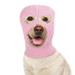 HOWWFALY dog Halloween pink mask costume on a medium dog for festive photo fun