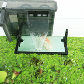 HOZOE Aquarium Floating Plant Corral main view shows adjustable surface fence protecting duckweed.