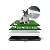 HQ4US 4LEGS dog grass pad medium 31x21 indoors with a tidy potty setup