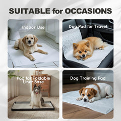 HQ4US 4LEGS odor-elimination gel visual keeps room fresh