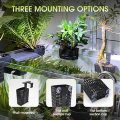 HSDJLXZ aquarium plant holder bottom suction captures stable base for rooted plants.