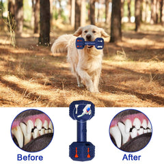 Hswaye dental dog toy blue with 3D particles for fresh breath and gum stimulation.