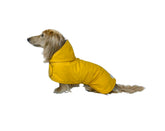 Hudson Hound dachshund raincoat front view with waterproof coverage for rainy walks.