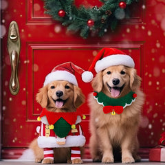 Huhumy lightweight plush collar emphasizes comfort and fur-friendly material