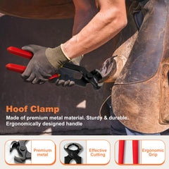 Huimpet rasp close-up showing durable metal finish for hoof shaping