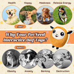 Huimpet rechargeable USB dog ball highlights easy charging for continuous amusement
