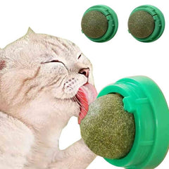 humyeam 3 Pack Catnip Balls pack front view promotes indoor play with natural ingredients
