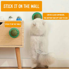 humyeam catnip balls wall-attachment demonstrates strong adhesion for interactive wall play