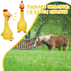 Hungdao latex chicken closeup shows durable texture for long-lasting play.