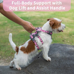 Huntboo breathable air mesh dog harness keeps dogs comfortable on long outings