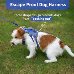 Huntboo escape-proof chest and belly straps prevent escapes during busy outings