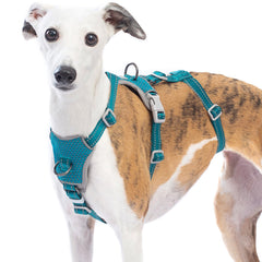 Huntboo escape proof harness teal xl front view showcases breathable comfort for daily walks