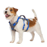 Huntboo reflective dog harness back view in sea blue enhances nighttime visibility for safe walks
