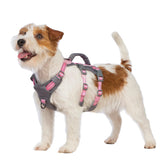 Huntboo reflective dog harness with padded handle for secure lifting during walks and training