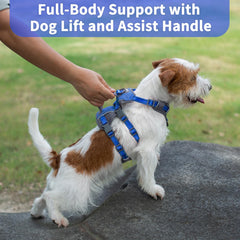 Huntboo six-point adjustable harness offers a comfortable growing-fit for various dogs