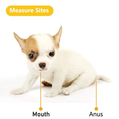Hurinan rectal thermometer with 3-inch probe reaches small and large pets.