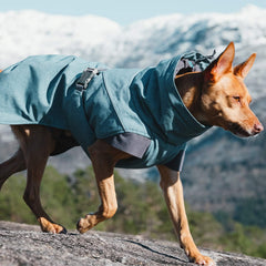 Hurtta Expedition Parka Bilberry side view shows flexible fit for active dogs.