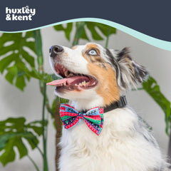Huxley & Kent seasonal designs offer festive options for photos and events.