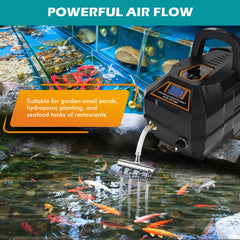 Hygger battery display shows voltage and status for reliable outdoor use.