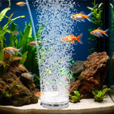 hygger air stone aquarium view shows transparent bubbler keeping water oxygenated