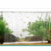 hygger bubble curtain wall 16in air stone kit in tank improves oxygen diffusion.