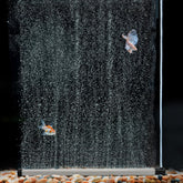The hygger bubble strip 13.8-inch wall-assembly shows steady, oxygen-boosting bubbles for tanks.