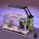 hygger clip-on 24/7 sunrise lighting for natural plant growth