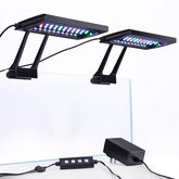 Hygger clip-on aquarium light attached to tank edge for natural day-night aquarium illumination.