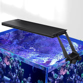 Hygger clip-on sunrise dawn light powering coral-friendly sunrise for reef tanks