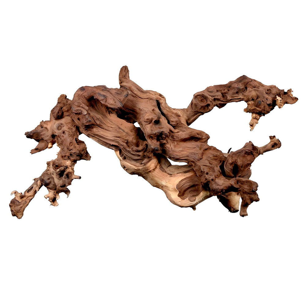 Hygger CO2 coral driftwood in an aquarium adds natural structure for fish and plants.
