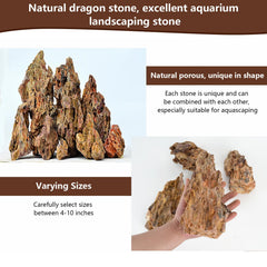 Hygger CO2 dragon stone rock honeycomb pattern enhances texture and fish hiding spots.