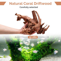 Hygger CO2 natural driftwood used as a climbing branch in reptile habitats.