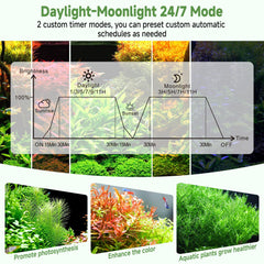 Hygger remote-control operation enables quick lighting adjustments.