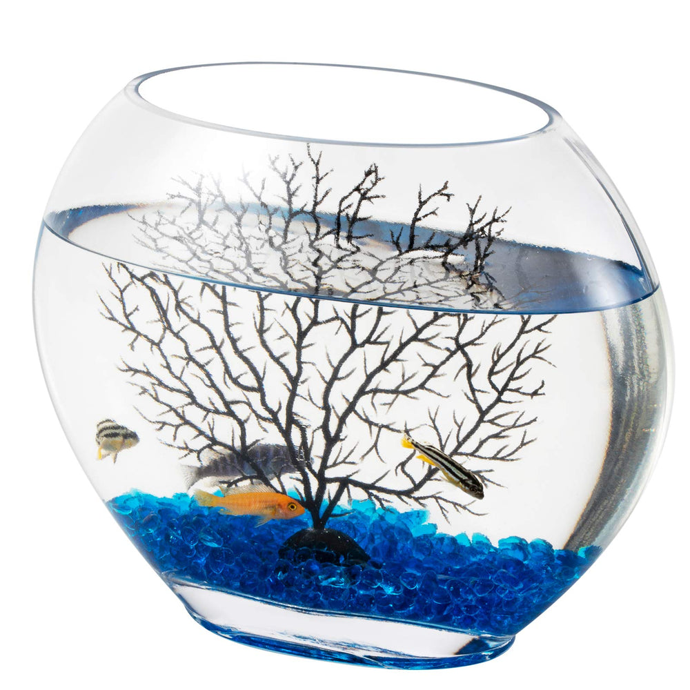 Hygger mini glass oblate fish bowl front view for compact desk decor.