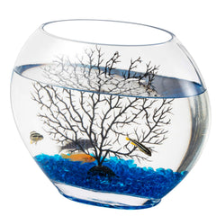 Hygger mini glass oblate fish bowl front view for compact desk decor.